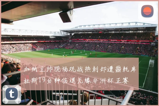 加纳主帅现场观战热刺却遭噩耗库杜斯19分钟伤退无缘非洲杯正赛