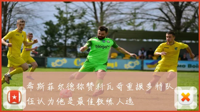 希斯菲尔德称赞科瓦奇重振多特队伍认为他是最佳教练人选