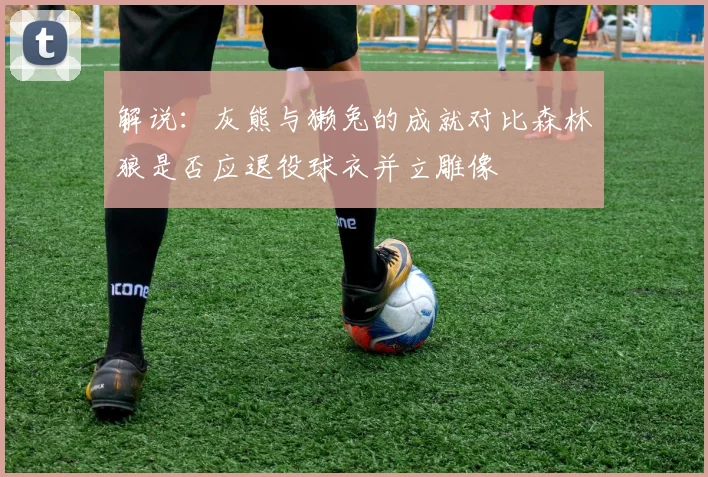 解说：灰熊与獭兔的成就对比森林狼是否应退役球衣并立雕像